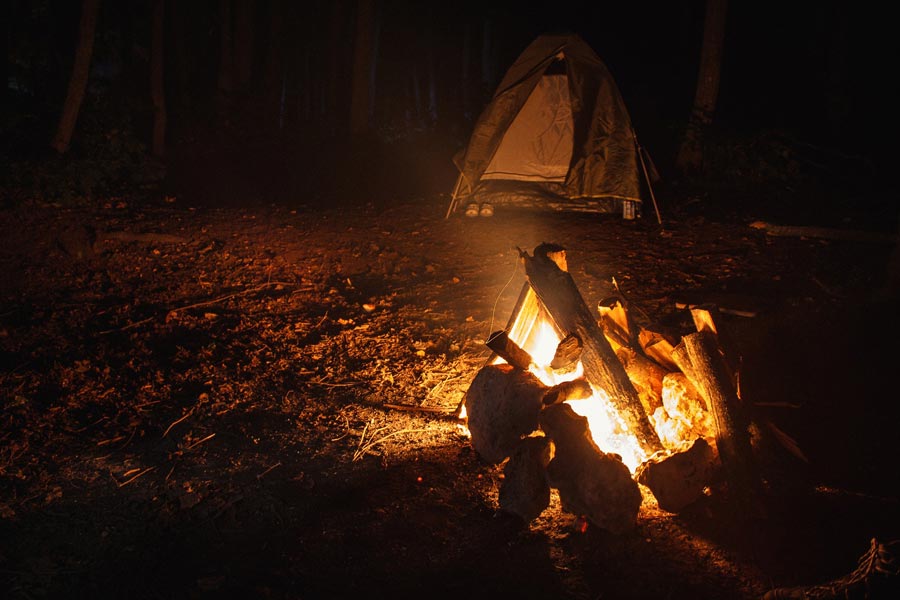 Dormire-di-notte-nel-bosco-da-solo-l’antidoto-per-superare-la-paura-del-buio-WildWisdom-Blog